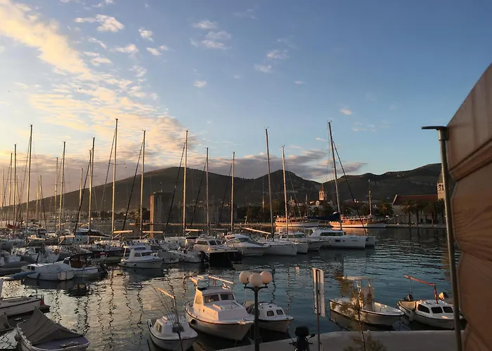 Feral トロギール